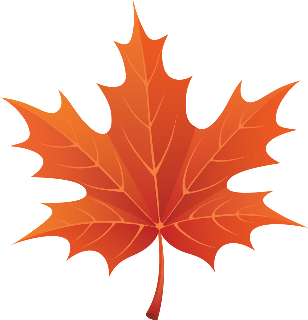 Fall leaf image