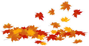 fall leaves graphic